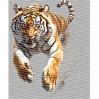 Animal Integration-DW 1794